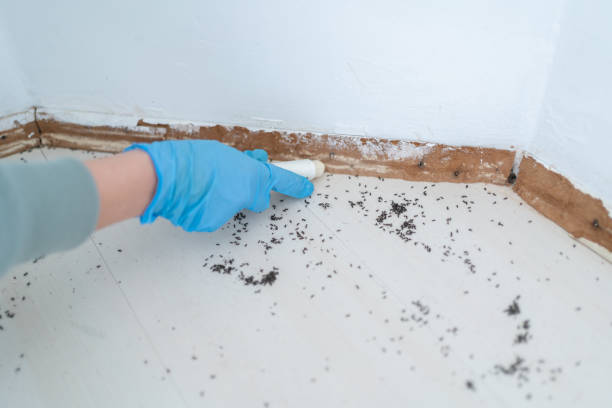 Best Pest Exclusion Services  in Auburn Hills, MI